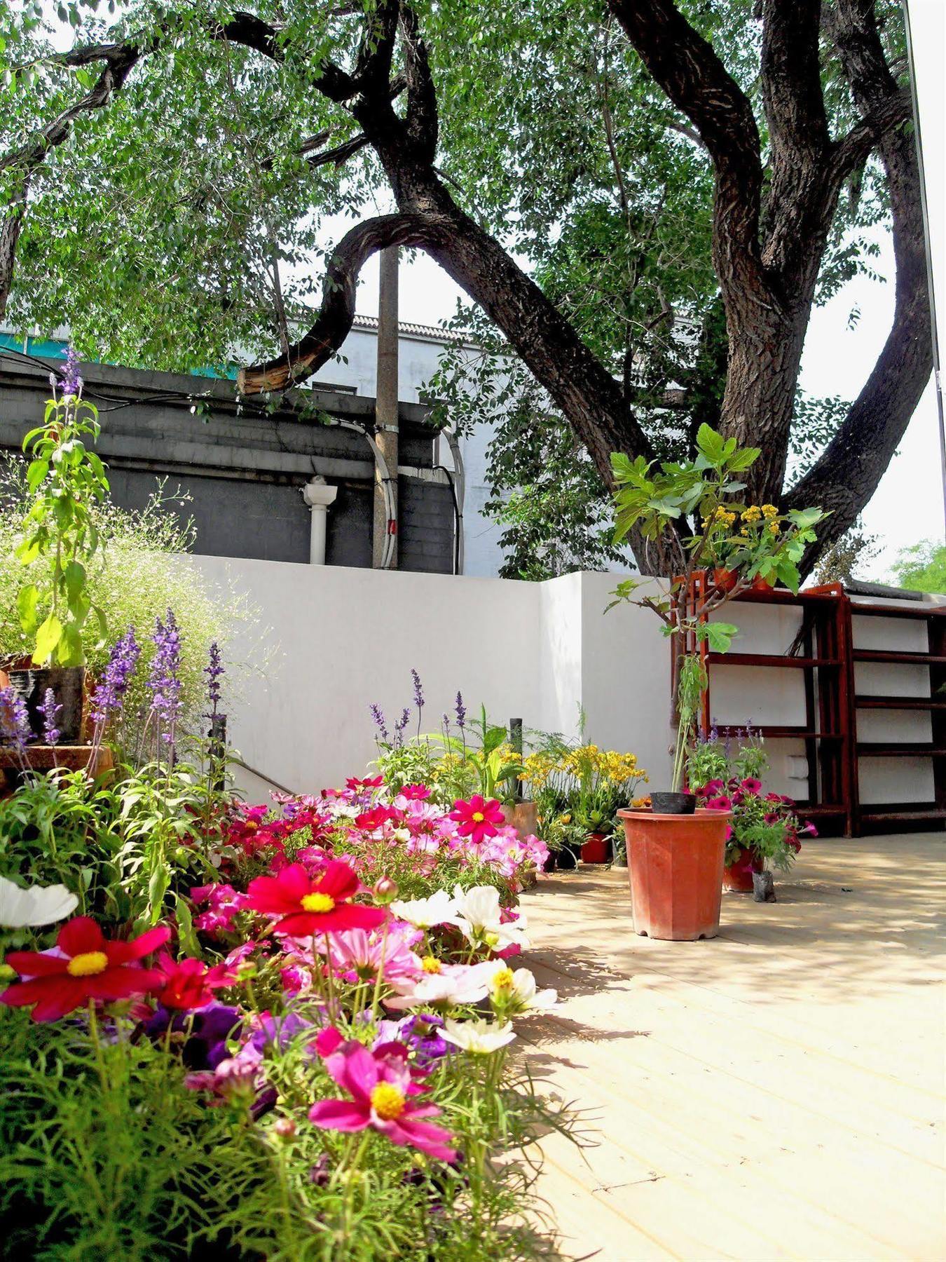 Beijing Wohkoon Hostel-Nan Luo Gu Xiang Branch 外观 照片